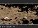 Κεντρικό Δελτίο 5/8/2025 