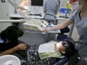 Σκύλοι βοηθοί… οδοντίατρου για τους ασθενείς που φοβούνται