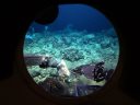 Δύτες καθαρίζουν το βυθό -Το Reuters στη Σαπιέντζα της Μεσσηνίας