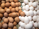 Έρευνα αγοράς και στα αβγά – Στο στόχαστρο ανατιμήσεων 