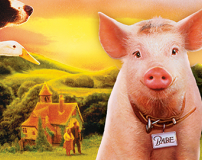 ΜΠΕΙΜΠ, ΤΟ ΖΩΗΡΟ ΓΟΥΡΟΥΝΑΚΙ 