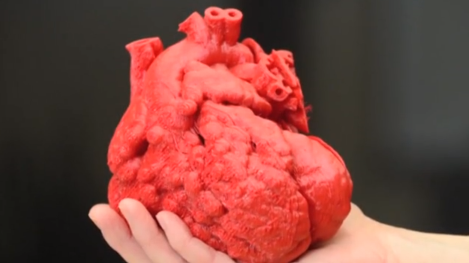 Ισραήλ: Επιστήμονες παρουσίασαν ένα πρωτότυπο ανθρώπινης καρδιάς τρισδιάστατης εκτύπωσης από ανθρώπινο ιστό