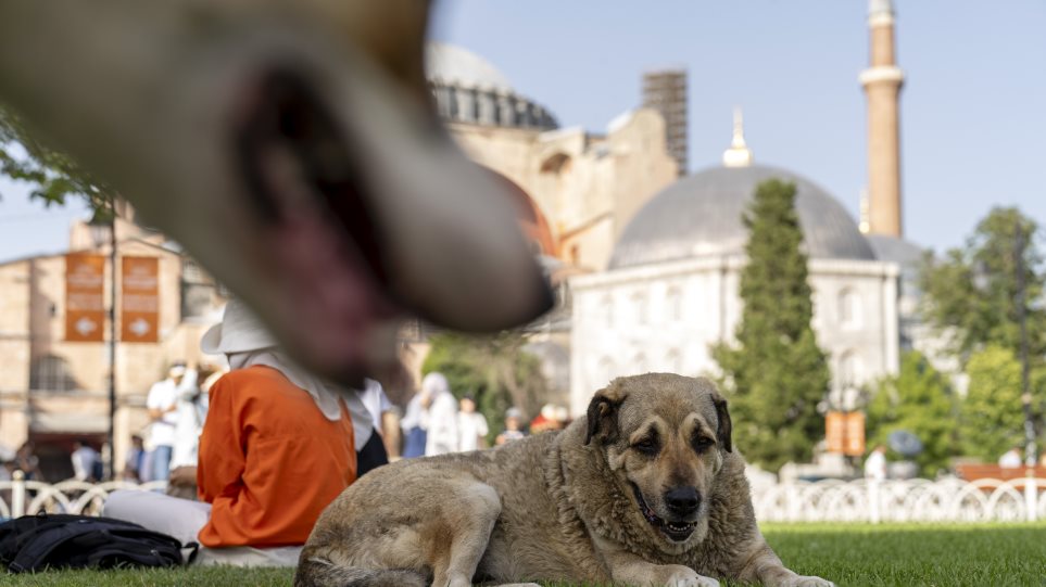 ADESPOTA_KONSTANTINUPOLI_AP_Photo_Francisco_Seco