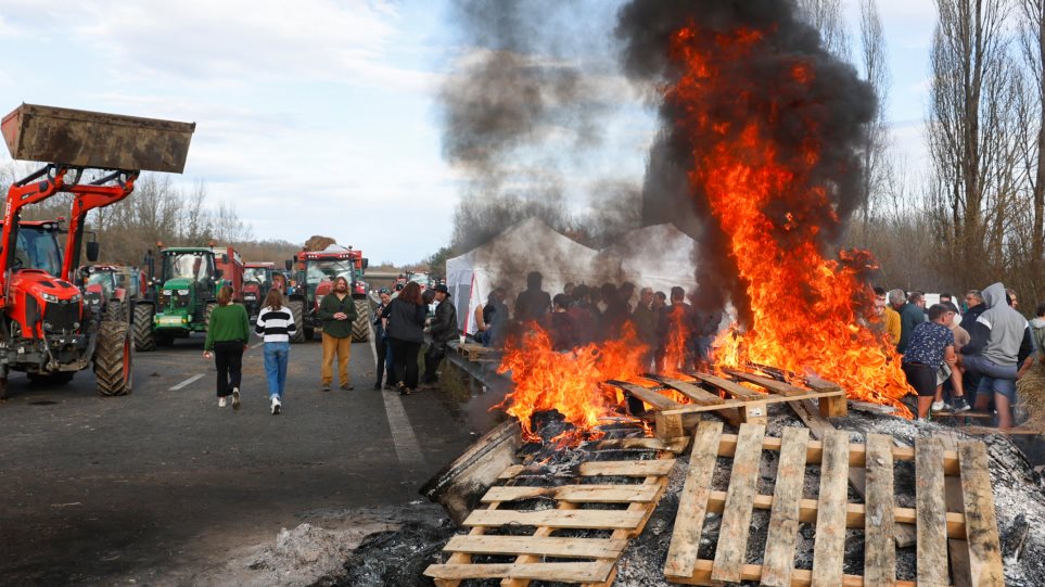 AP_Galia_Agrotes_Bloko_Nicolas_Mollo