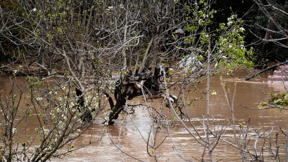 AP_Ispania_Plimires_Gregorio_Marrero2