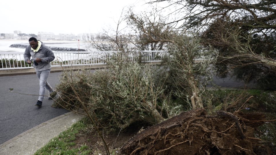 Galia_anemos_AP_Photo_Jeremias_Gonzalez