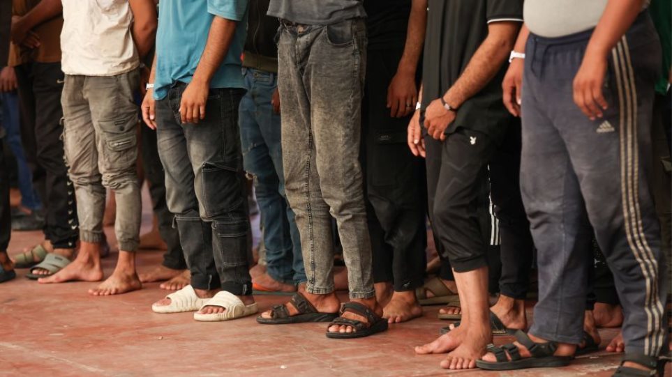 Metanastes_I_Generic5