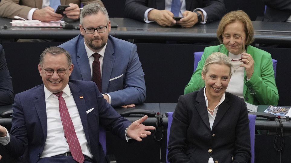 afd_vuli_AP_Photo_Markus_Schreiber