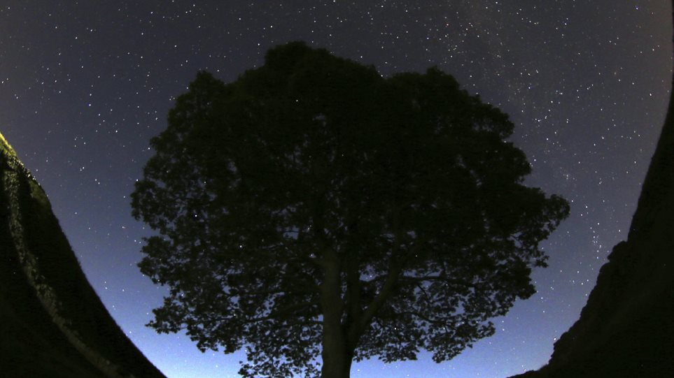 dentro_AP_Photo_Scott_Heppell