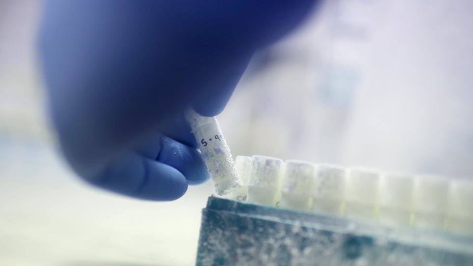 ergastirio_fialidia_AP_Photo_Wong_Maye_E