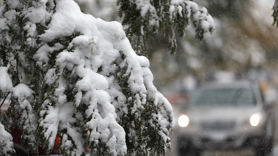 kladi_xioni_AP_Photo_David_Zalubowski