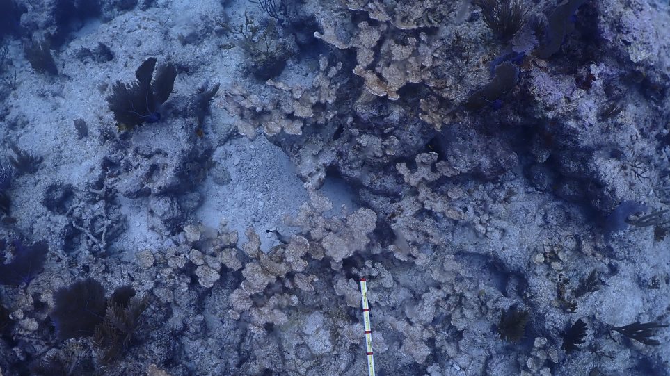 koralia_Ben_Edmonds_NOAA_via_AP