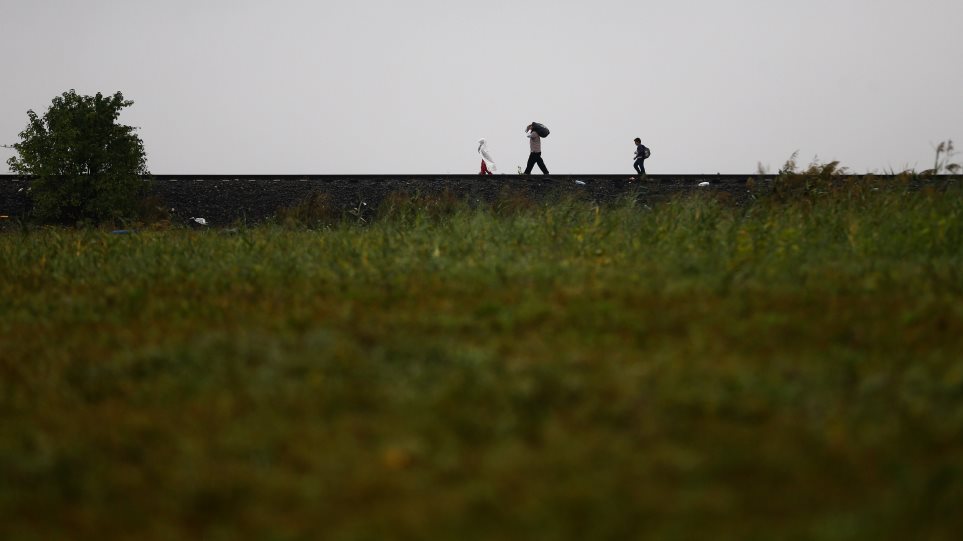 metanastes_AP_Photo_Matthias_Schrader