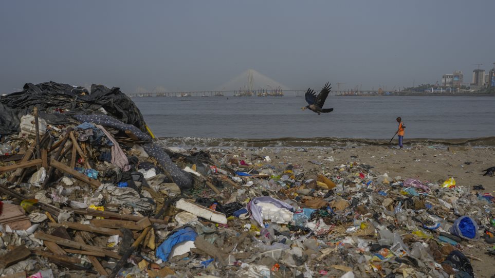 skupidia_plastika_AP_Photo_Rafiq_Maqbool