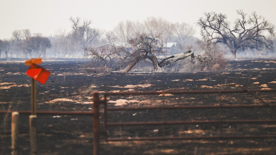 texas_kamena_AP_Photo_David_Erickson