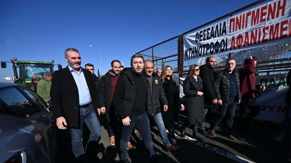 Andrulakis_Trikala_Agrotes_I