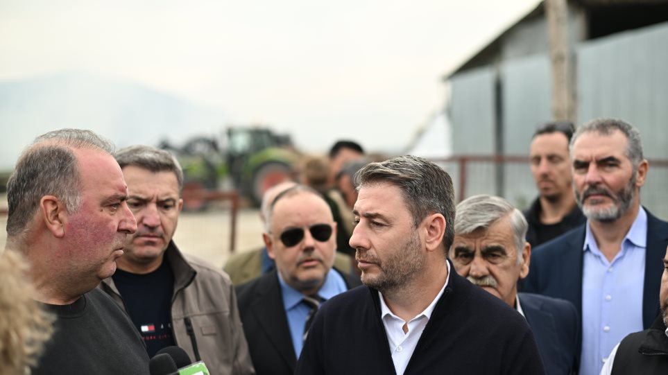 Andrulakis_thesalia_int