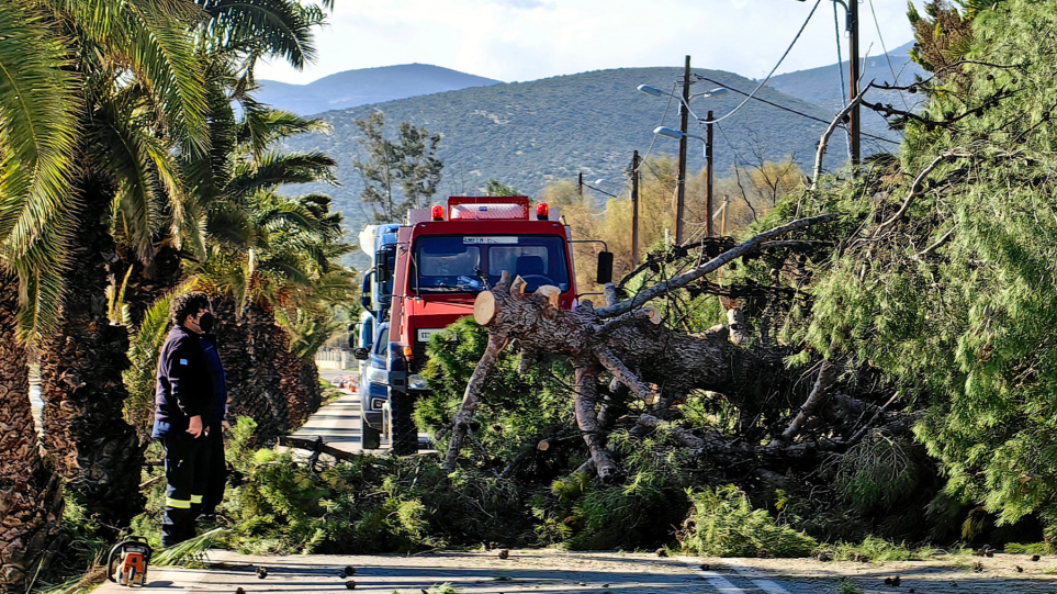 SLIDER_KOMENO_DENTRO_py_int