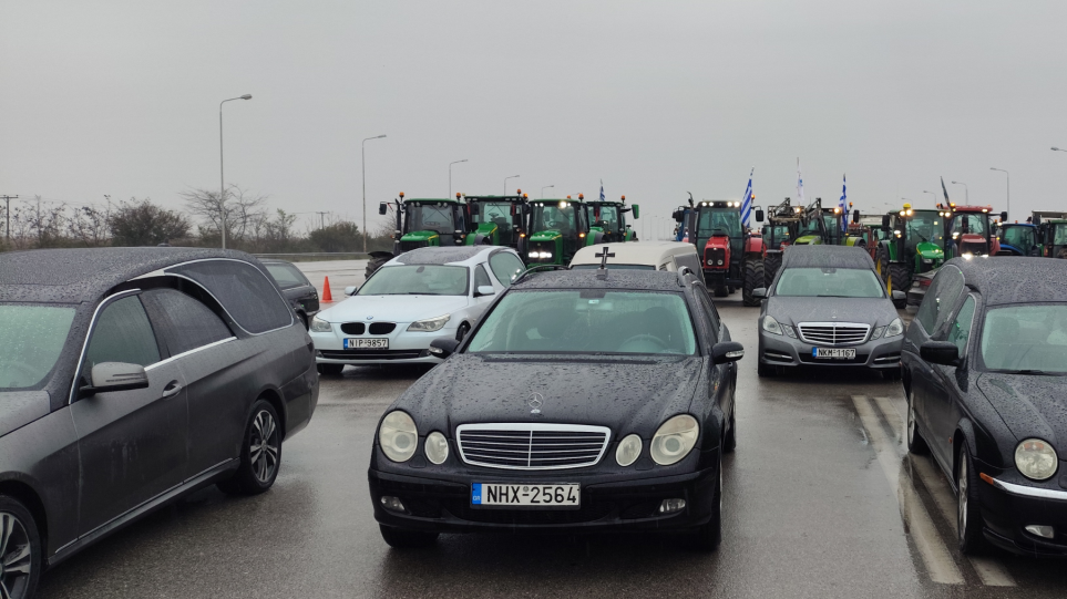 SLIDER__nekrofores_trakter