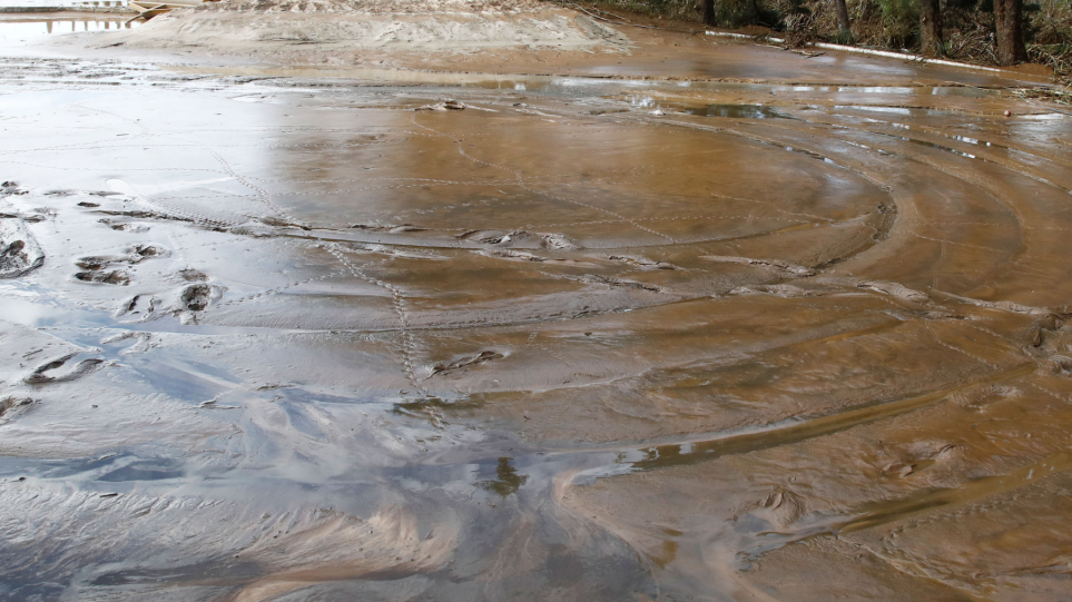 SLIDER__plimira_gen_int