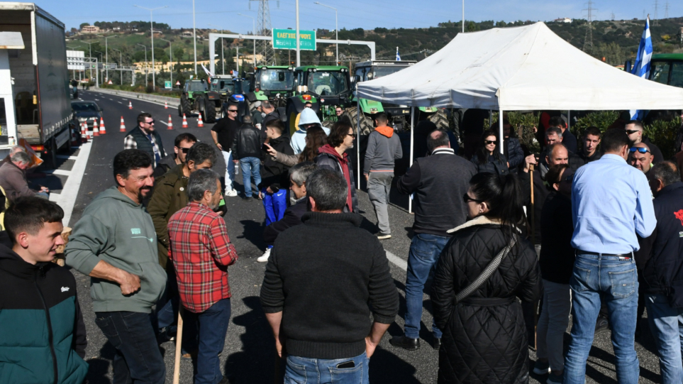 SLIDER_agrotes_patra_int