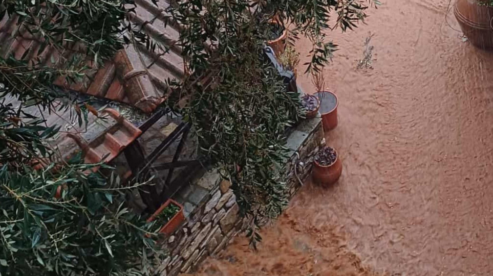 SLIDER_thasos_plimira_int