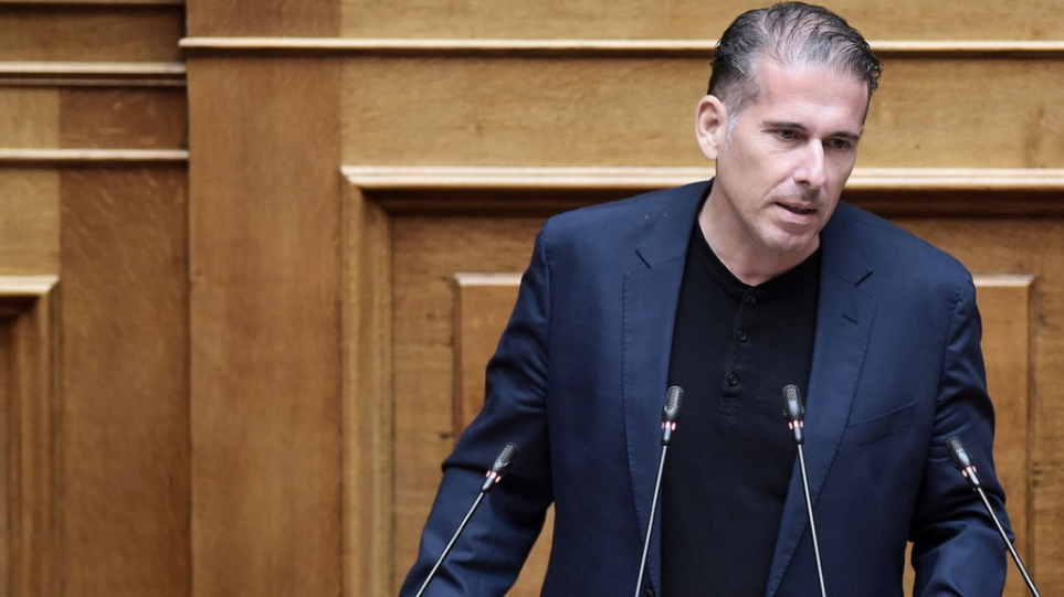 S_Karanastasis_vuli_int