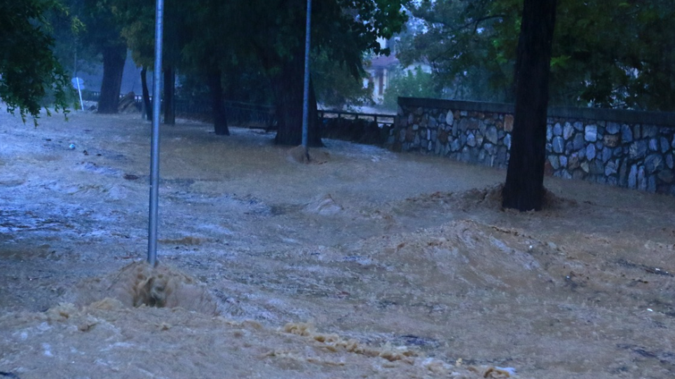 S_entoni_vroxi_dromos_int