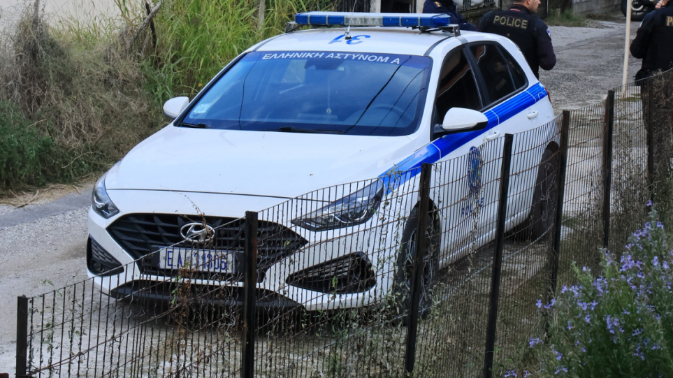 S_peripoliko_eglima_trikala_int