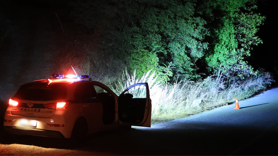 S_peripoliko_erevna_vuno_int