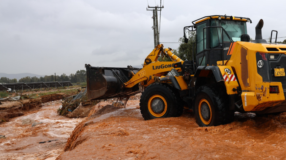 S_plimires_Mandra_int