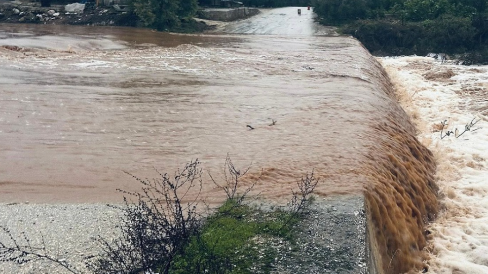 S_plimires_nero_ximaros_int