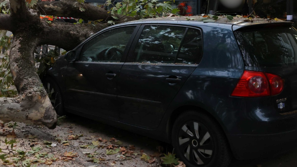 S_ptosi_dentru_thes_int