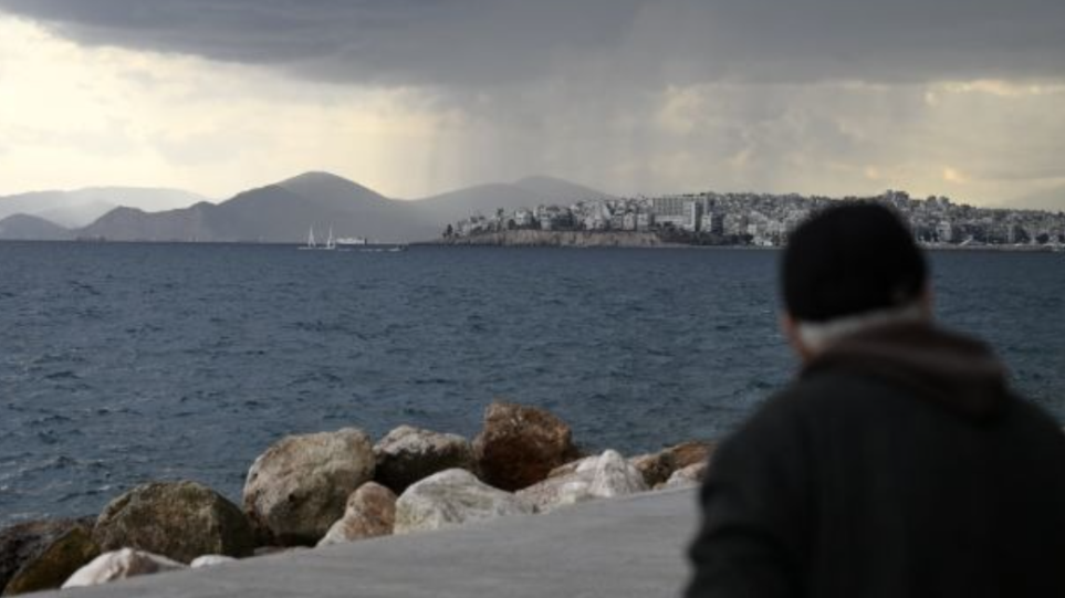 S_sinefia_thalasa_int