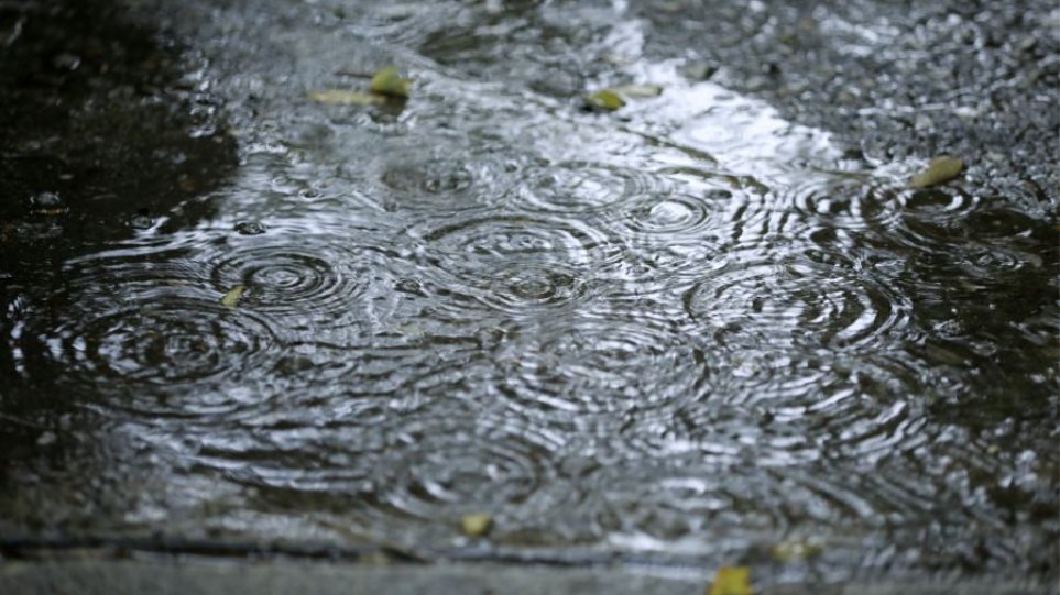 2024_Kakokeria_Vroxi_I