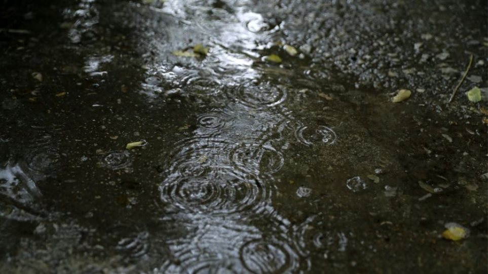 2024_Kakokeria_Vroxi_I1