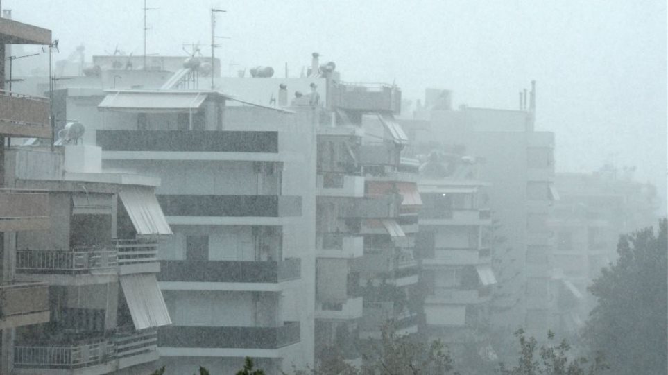 2024_Kakokeria_Vroxi_I4_Athina_Ximonas5