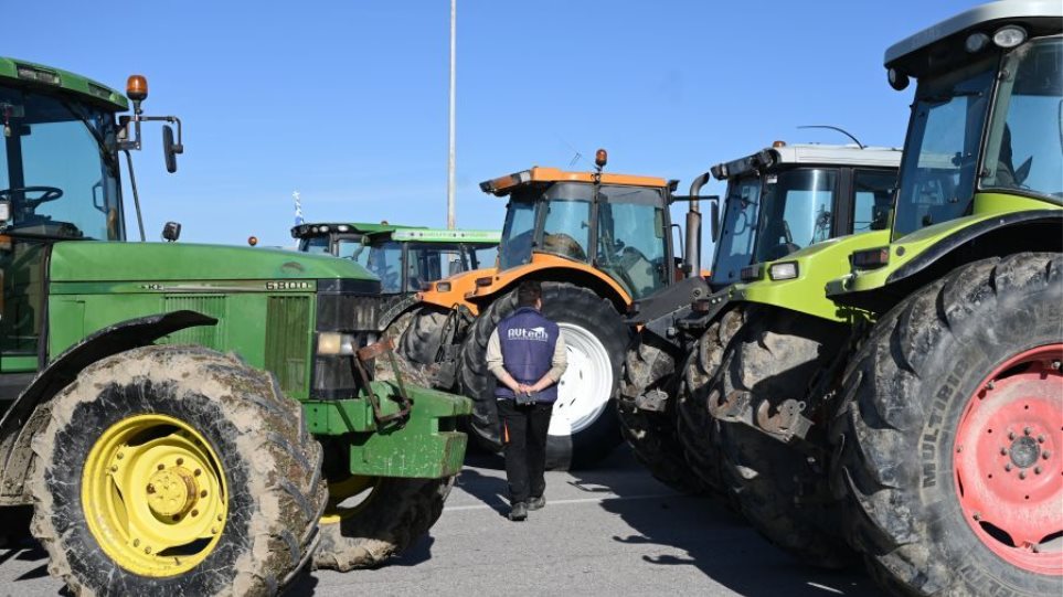 2025_Agrotes_Bloko_Malgara_I3