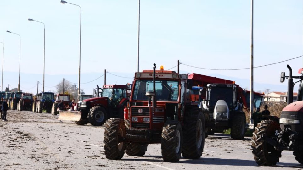 2025_Agrotes_Bloko_Malgara_I7