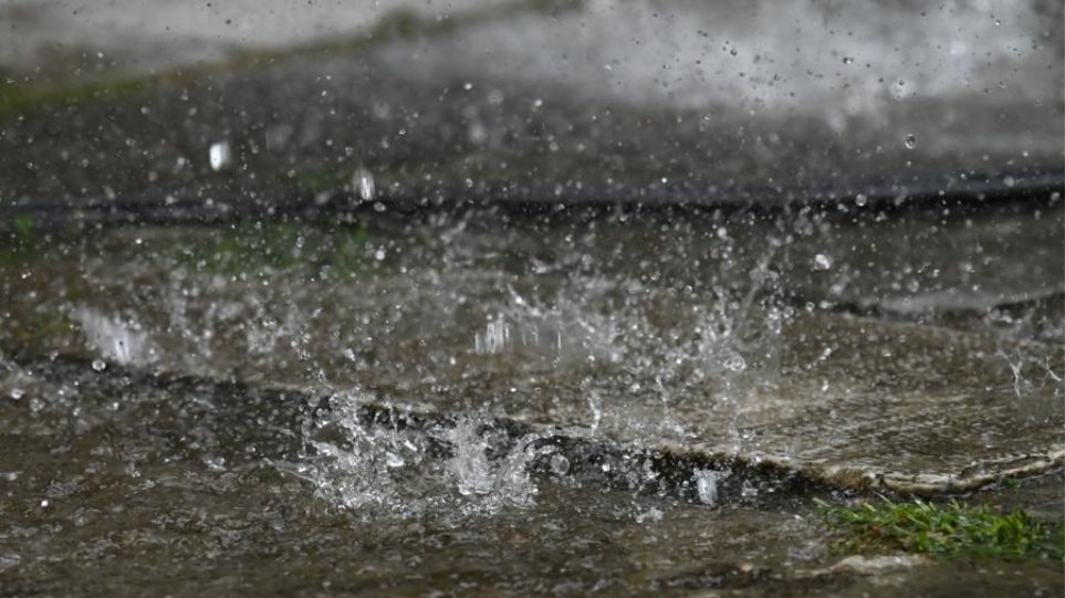 2025_kakokeria_Vroxi_I