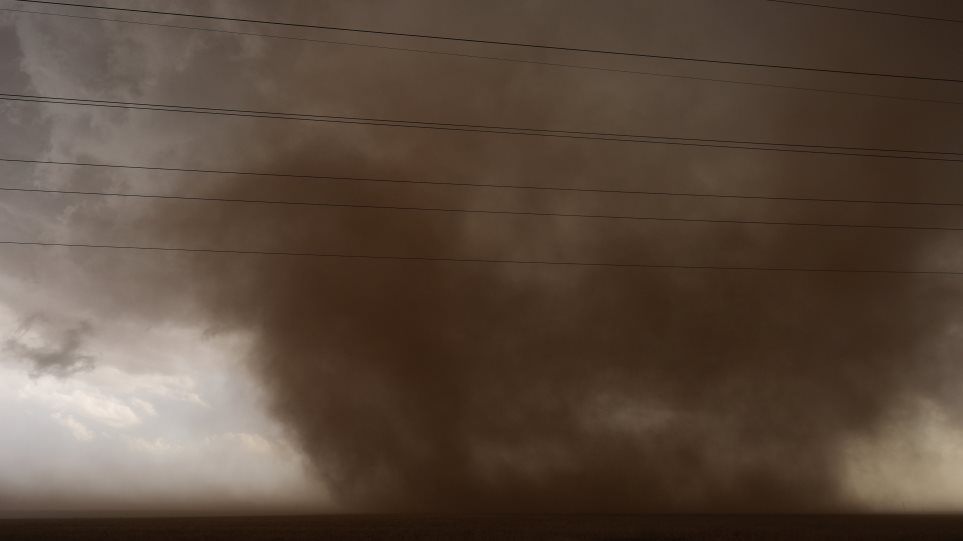 AP_Anemostrovilos_Carolyn_Kaster