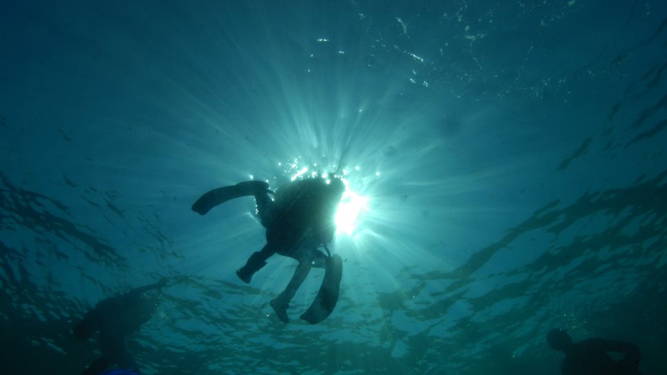 AP_Vithos_Thalasa_Elada_Nikos_Chalkiopoulos