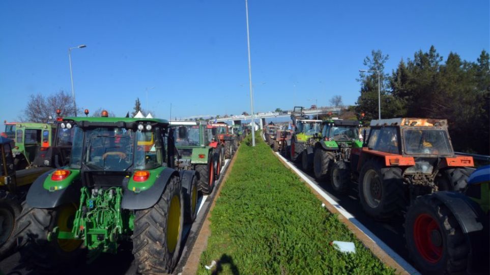 Bloko_Agrotes_Larisa_I