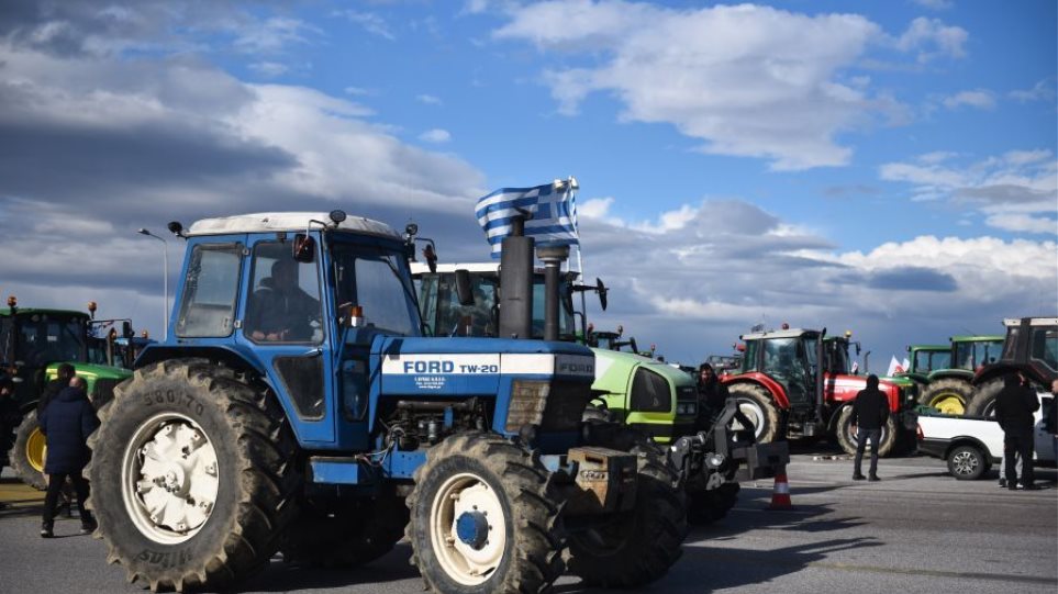 Bloko_Agrotes_malgara_I18