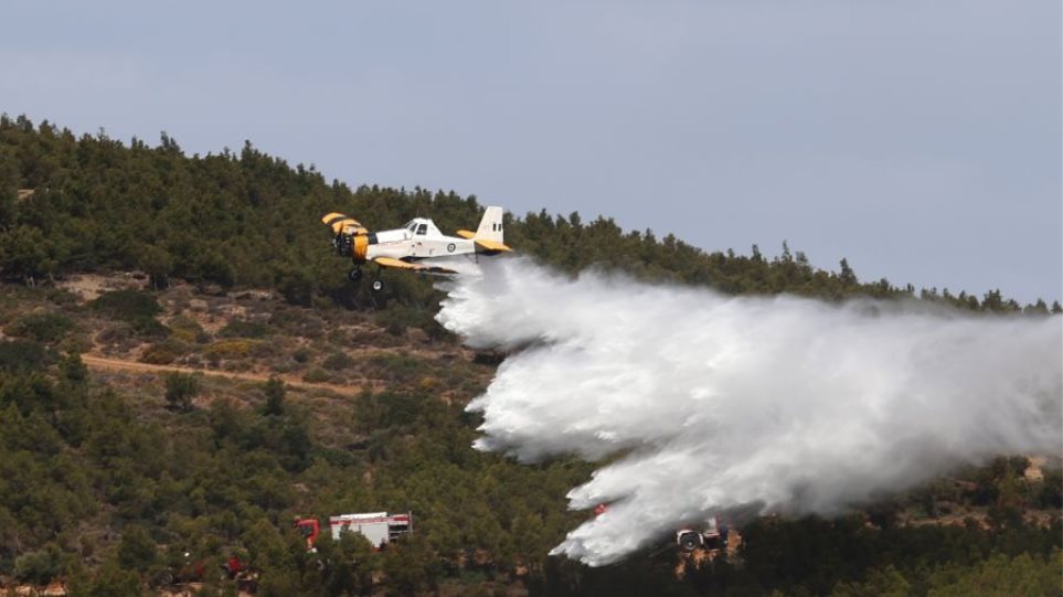 Canadair_PZL_M-18_M18_HAF_I