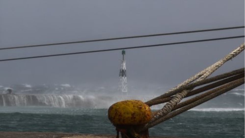 Demena_plia_I_Kakokeria7