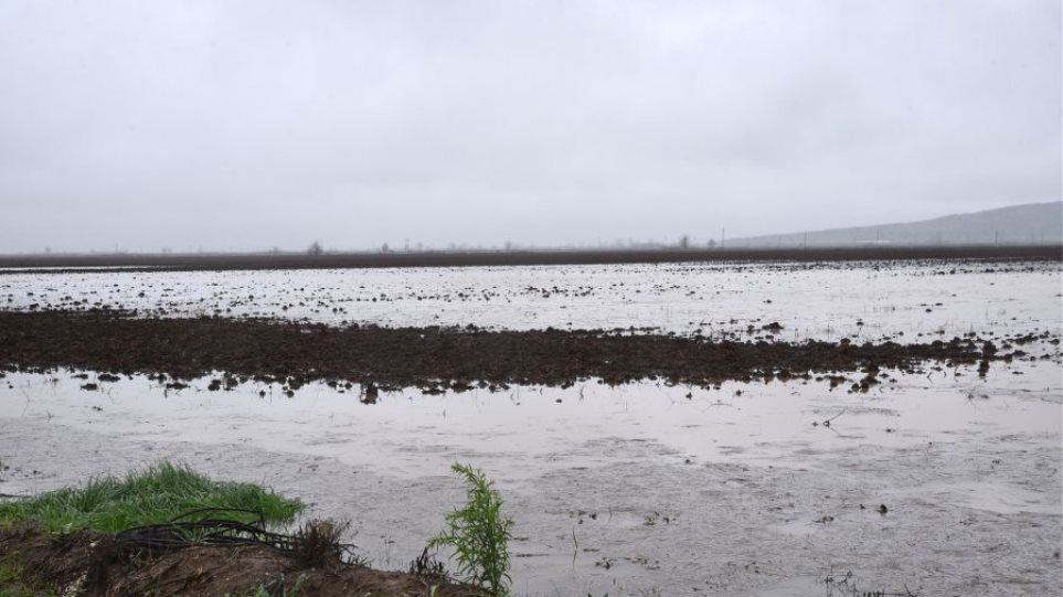 Farsala_Plimires_Enipeas_I4