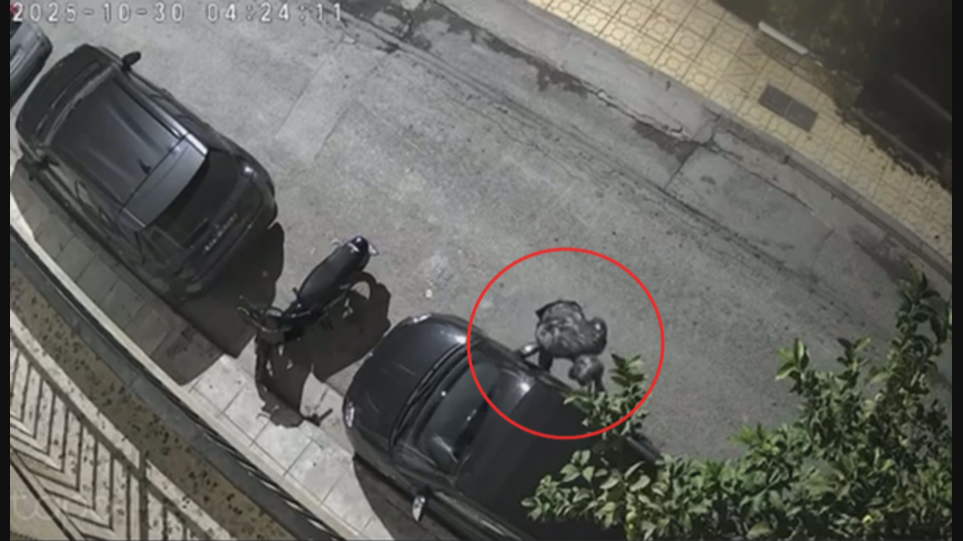 KLOPI_IX_PERISTERI_a