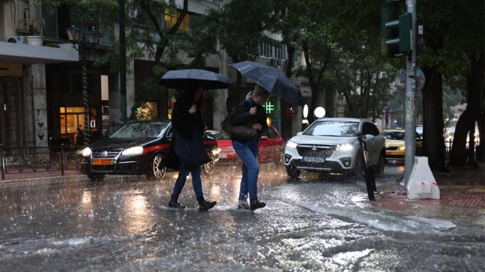 Kakokeria_Vroxi_Athina_I3