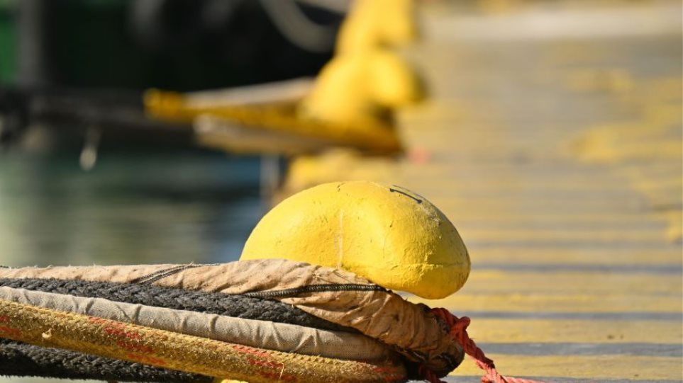 Kavos_Kavodetis_I_Demena_Plia